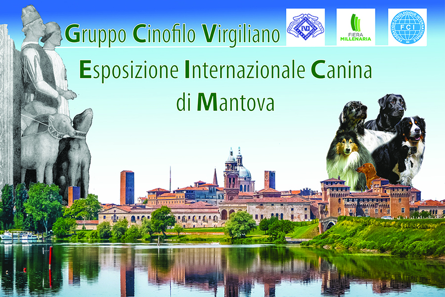 esposizioni di Mantova